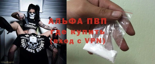 гашик Осташков