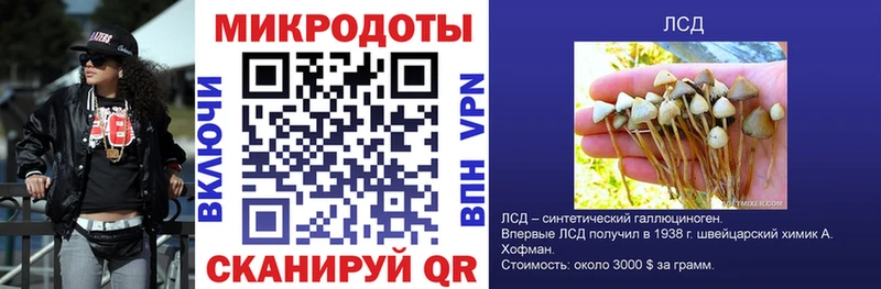 как найти закладки Мыски Галлюциногенные грибы Cubensis